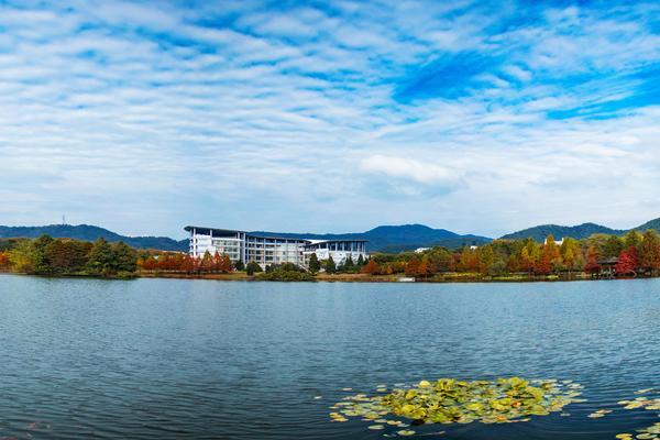 数字营销在财经大学考研中的重要性与实际应用 图2