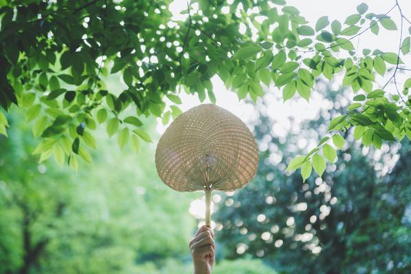 闽侯旅游资源整合与营销策略研究图1