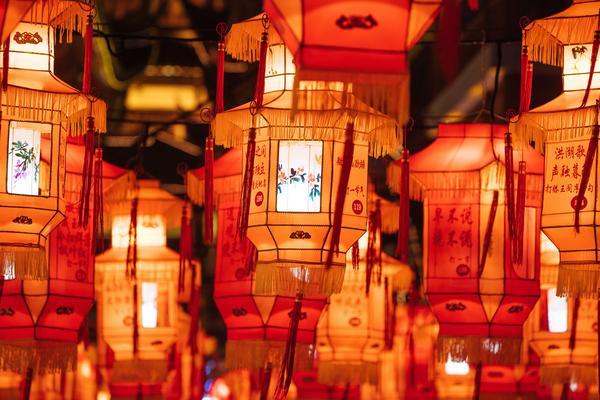 研究潜水旅游业的市场趋势与营销策略 图2