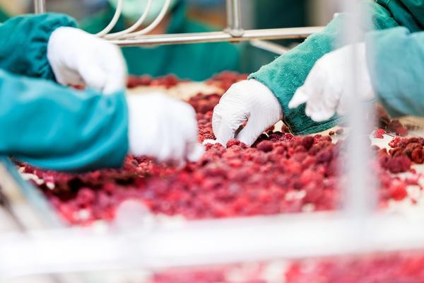 蔬菜营销策略：提升品牌价值与消费者满意度的有效途径 图1
