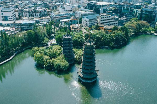 森林消防优化营销策略：提升品牌影响力，助力森林安全 图2